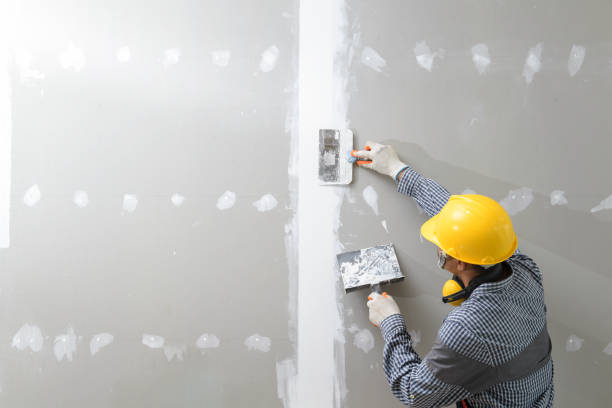 Mold Odor Removal Services in Jamaica Beach, TX