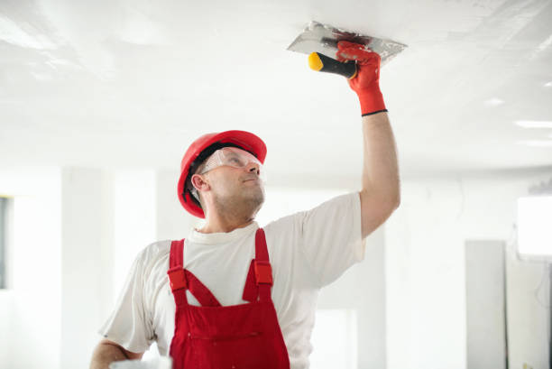 Best Commercial Mold Inspection  in Jamaica Beach, TX