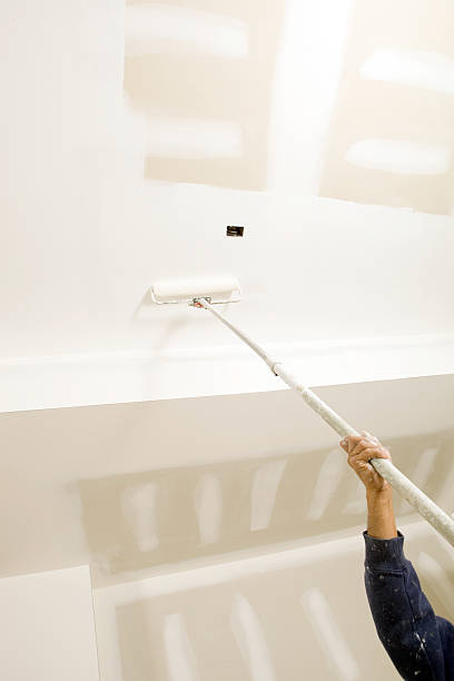 Best Mold Documentation for Insurance Claims  in Jamaica Beach, TX